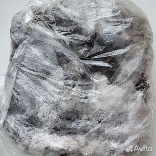 Грибы лесные:белые, опята, подосиновики и др