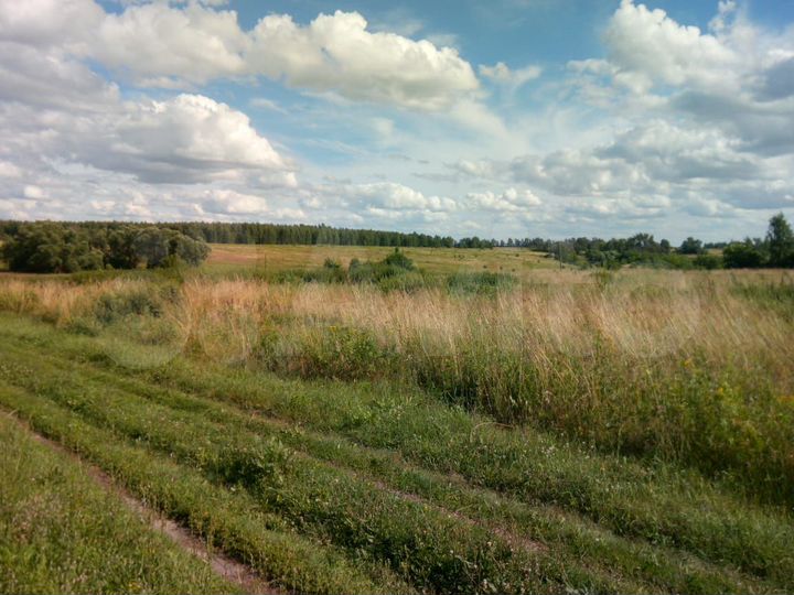 Участок 17 сот. (ИЖС)