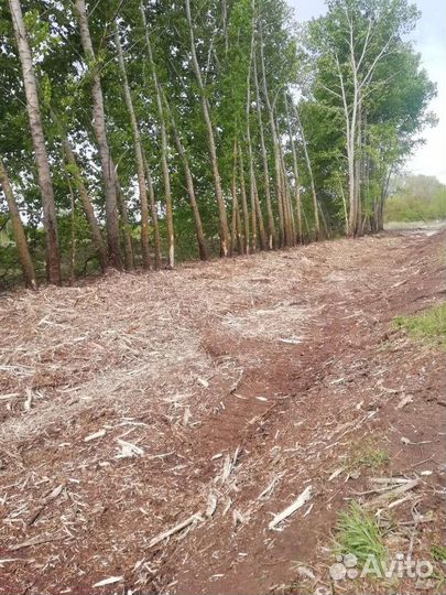 Услуги экскаватора(мульчер)