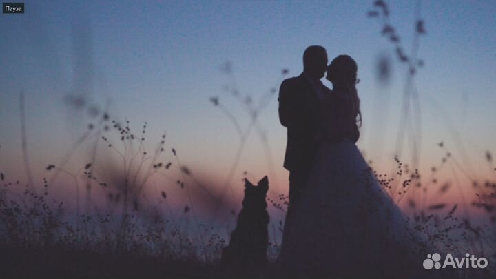 Видеограф на свадьбу