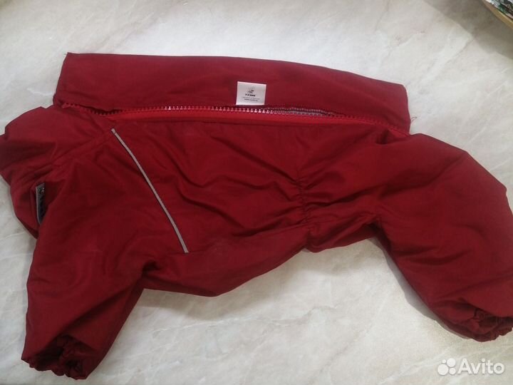 Дождевик для маленькой собаки