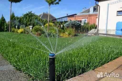 Укладка и продажа газона