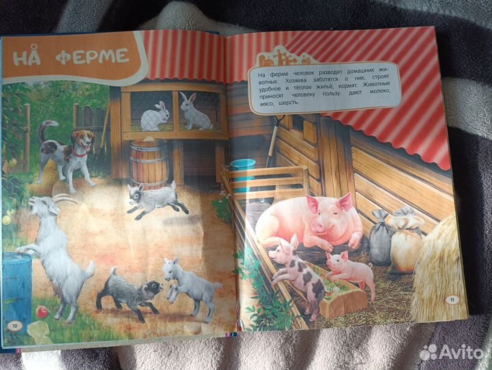 Большая книга знаний 2+