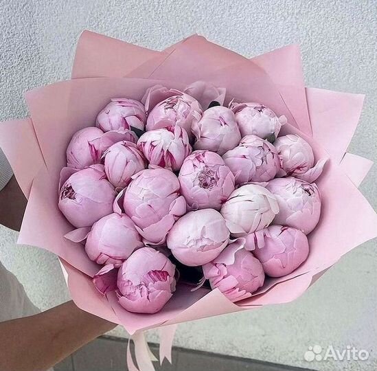 Пионы Букет пионов