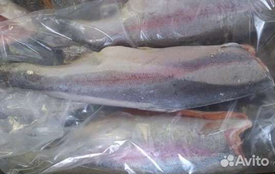 Форель морская