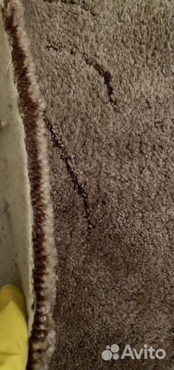 Ковровое покрытие