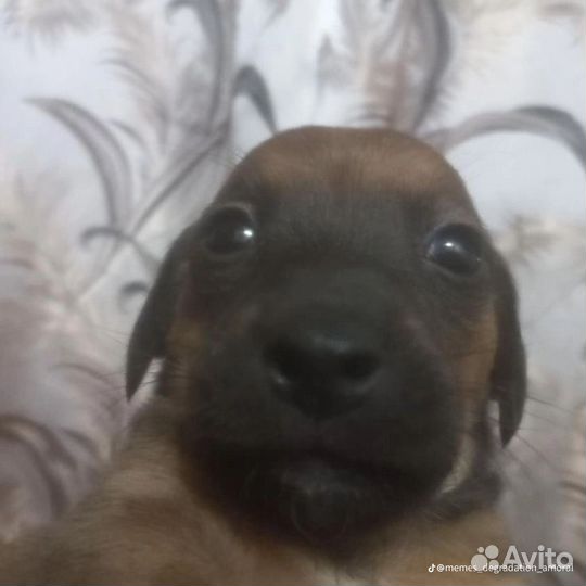 Маркеры для тегинга