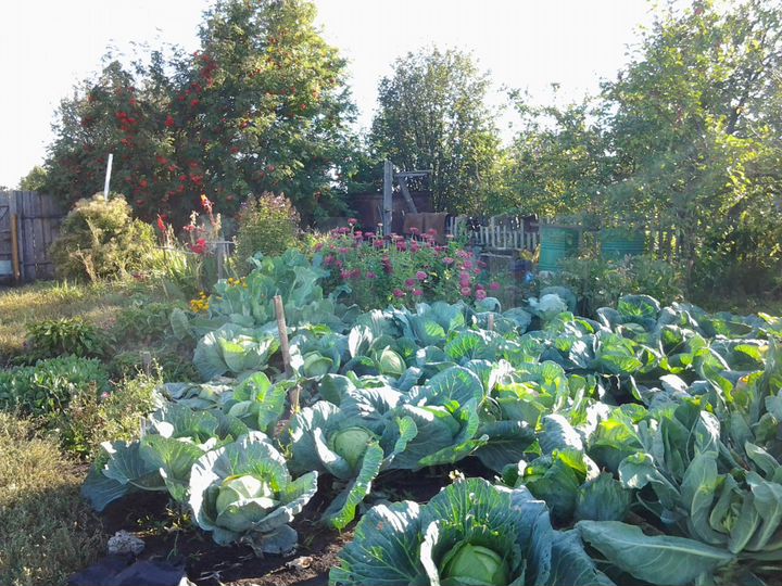 Дача 20 м² на участке 10 сот.