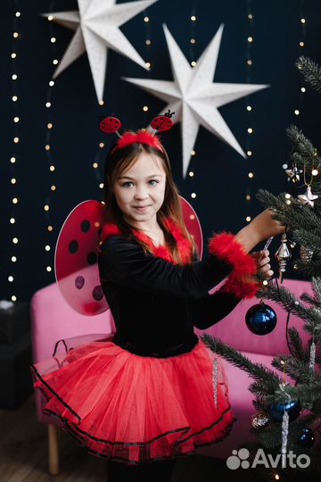 Костюм божьей коровки