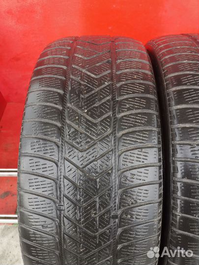Pirelli Scorpion Winter 245/45 R20 103W