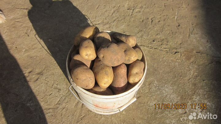 Продукты питания