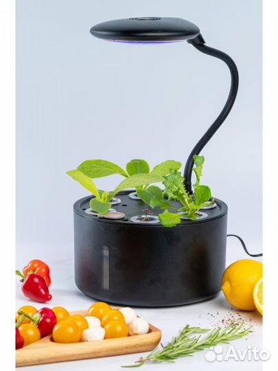 Умный сад/Гидропоника/Гидропонная установка