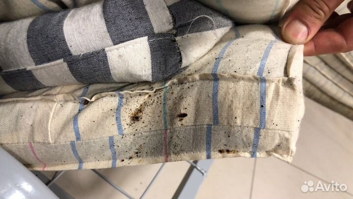 Уничтожение клопов и тараканов