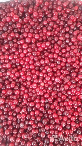 Брусника, клубника, ягоды, овощи