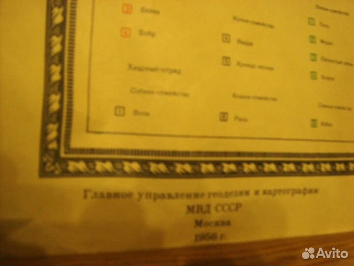 Карта 1956г.