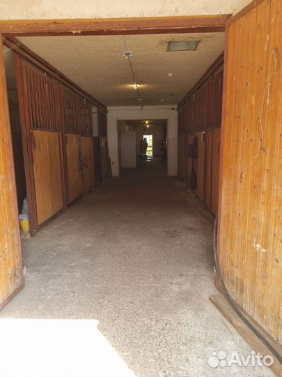 Постой для лошадей