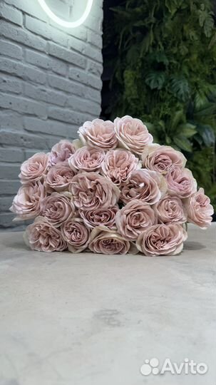 Пионовидные розы