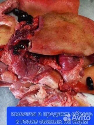 Обрезь на корм собакам