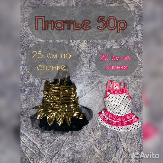 Одежда для собак