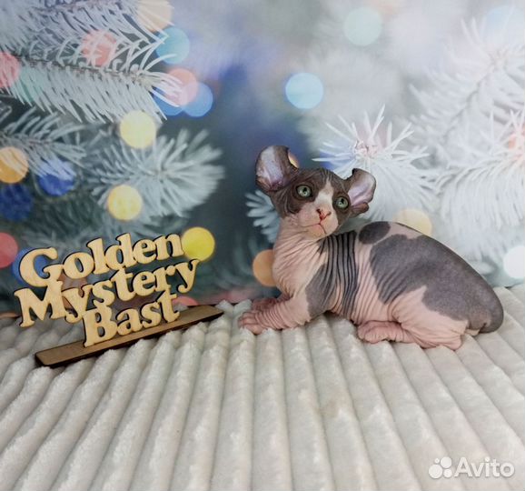 Сфинкс Двэльф, Двельф