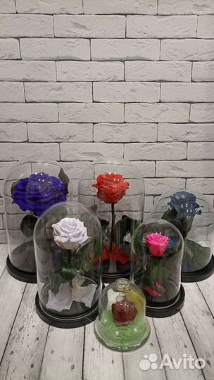 Роза в колбе