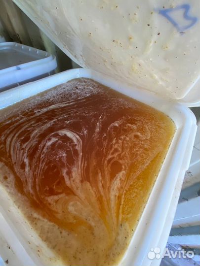 Свежий мёд с Алтая опт