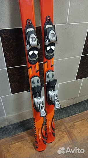 Горные лыжи