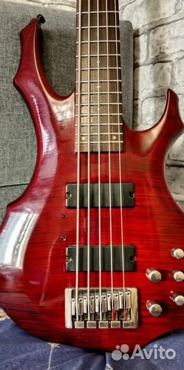 Пятиструнная бас гитара ESP LTD F-255FM (+чехол)