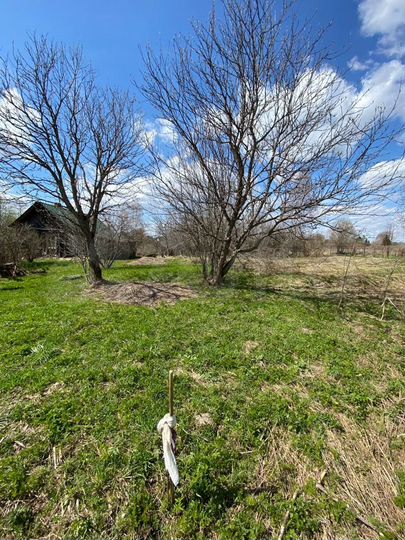 Участок 6 сот. (ИЖС)