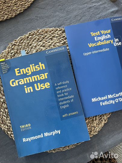 English grammar in use murphy