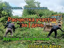 Расчистка участка от мелколесья в Краснознаменск