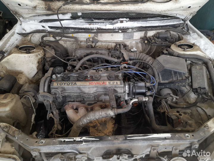 Тойота Королла в разбор