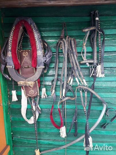 Сбруя для лошади