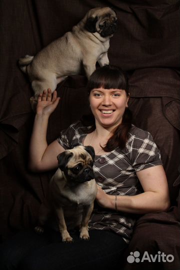 Грумер стрижка собак