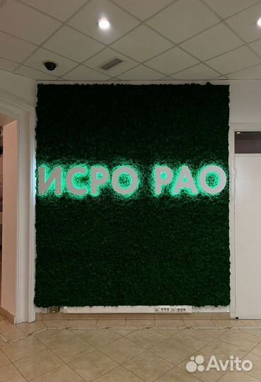 Панно. Декор. Стабилизированный мох