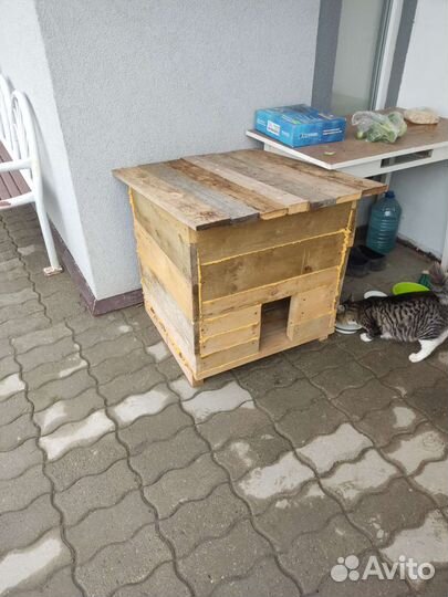 Будка бесплатно