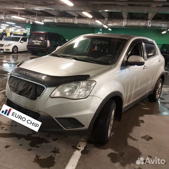Отключение егр SsangYong Kyron, прошивка EGR