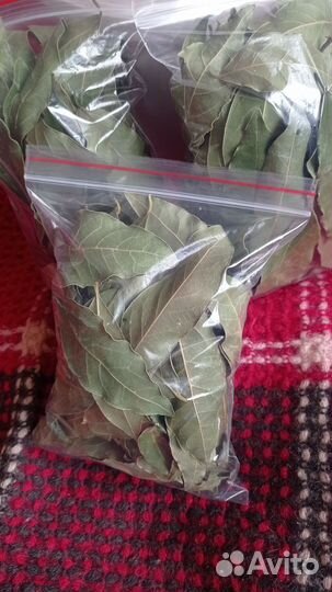 Доставка Лавра