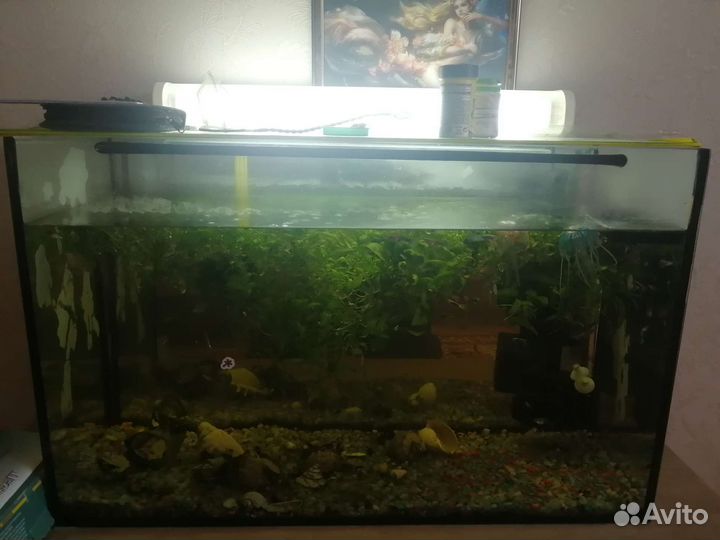 Аквариум с тумбой бу