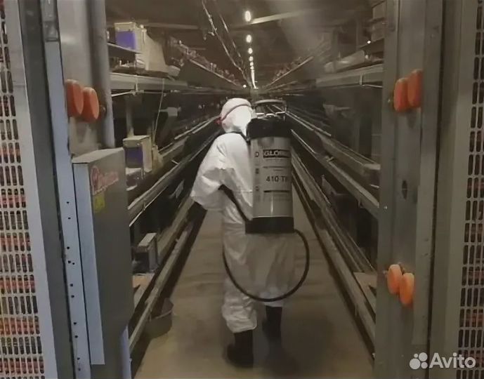 Мойщик/Птицефабрика/Вахта/Бийск