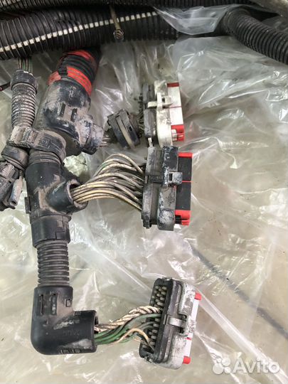 Бокс карриер vector вектор