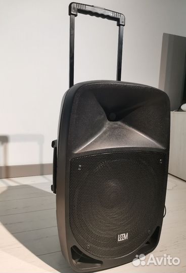 Акустическая система колонка Leem PR-12HR