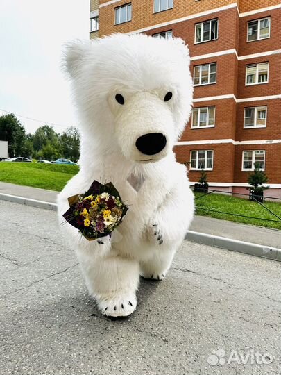 Белый Мишка поздравление