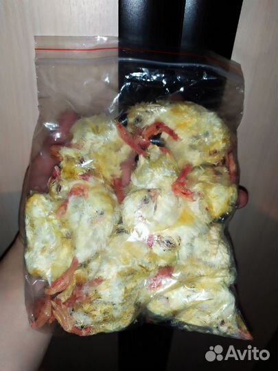 Кормовые мыши, крысы, цыплята, перепелки, кролики