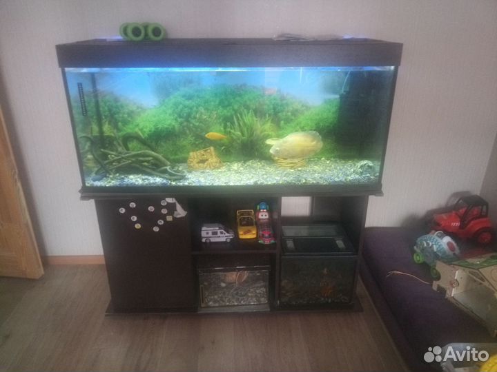 Аквариум
