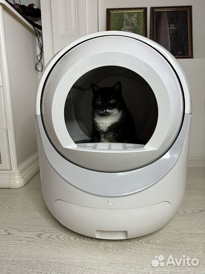 Автоматический лоток для кошек