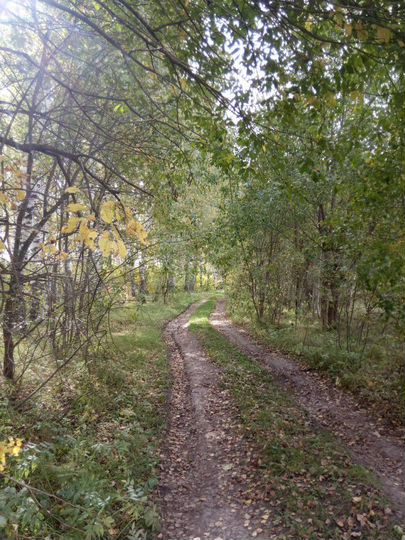 Участок 5,6 сот. (СНТ, ДНП)