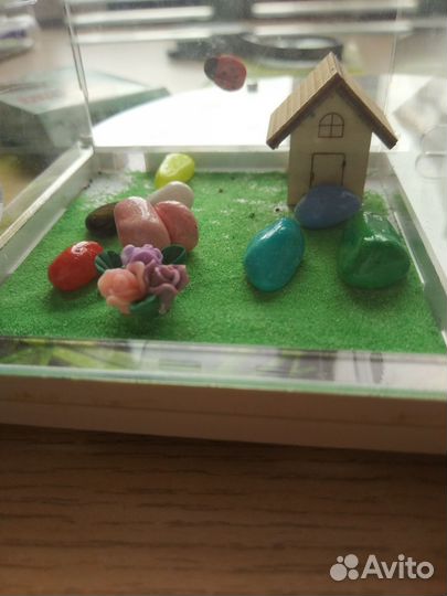 Муравьиная ферма