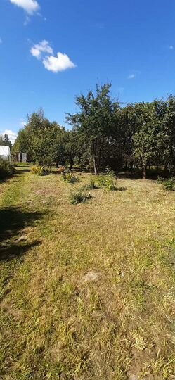 Участок 35 сот. (ИЖС)