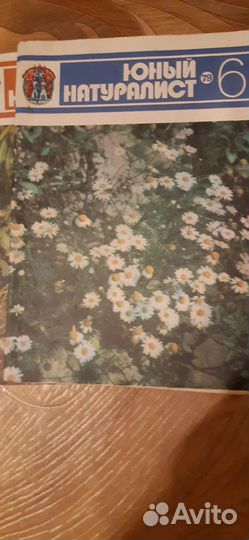 Журналы юный натуралист 77 года 73 года и два 79